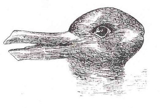 Duck Rabbit illusion 74a9b26921
